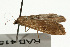  ( - UKLB38E09)  @13 [ ] CreativeCommons - Attribution (2009) Unspecified Centre for Biodiversity Genomics