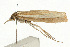  ( - UKLB38F01)  @12 [ ] CreativeCommons - Attribution (2009) Unspecified Centre for Biodiversity Genomics