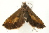  ( - UKLB43A12)  @13 [ ] CreativeCommons - Attribution (2009) Unspecified Centre for Biodiversity Genomics