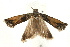  ( - UKLB43B01)  @13 [ ] CreativeCommons - Attribution (2009) Unspecified Centre for Biodiversity Genomics
