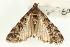  ( - UKLB43B02)  @12 [ ] CreativeCommons - Attribution (2009) Unspecified Centre for Biodiversity Genomics
