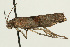  ( - UKLB38F12)  @13 [ ] CreativeCommons - Attribution (2009) Unspecified Centre for Biodiversity Genomics