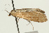  ( - UKLB38G01)  @12 [ ] CreativeCommons - Attribution (2009) Unspecified Centre for Biodiversity Genomics