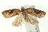  ( - UKLB43B10)  @13 [ ] CreativeCommons - Attribution (2009) Unspecified Centre for Biodiversity Genomics