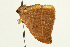  ( - UKLB38G05)  @11 [ ] CreativeCommons - Attribution (2009) Unspecified Centre for Biodiversity Genomics