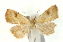  ( - UKLB43C12)  @13 [ ] CreativeCommons - Attribution (2009) Unspecified Centre for Biodiversity Genomics