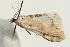  ( - UKLB38H02)  @12 [ ] CreativeCommons - Attribution (2009) Unspecified Centre for Biodiversity Genomics