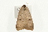  ( - UKLB37B03)  @12 [ ] CreativeCommons - Attribution (2009) Unspecified Centre for Biodiversity Genomics