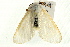  ( - UKLB37C09)  @13 [ ] CreativeCommons - Attribution (2009) Unspecified Centre for Biodiversity Genomics