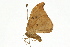  ( - UKLB37D01)  @13 [ ] CreativeCommons - Attribution (2009) Unspecified Centre for Biodiversity Genomics