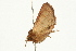  ( - UKLB37D06)  @11 [ ] CreativeCommons - Attribution (2009) Unspecified Centre for Biodiversity Genomics