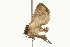  ( - UKLB37D07)  @13 [ ] CreativeCommons - Attribution (2009) Unspecified Centre for Biodiversity Genomics