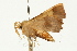  ( - UKLB37E10)  @13 [ ] CreativeCommons - Attribution (2009) Unspecified Centre for Biodiversity Genomics