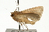  ( - UKLB36C04)  @11 [ ] CreativeCommons - Attribution (2009) Unspecified Centre for Biodiversity Genomics