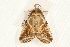  ( - UKLB36D01.fail1)  @11 [ ] CreativeCommons - Attribution (2009) Unspecified Centre for Biodiversity Genomics