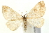 ( - UKLB35C02)  @11 [ ] CreativeCommons - Attribution (2009) Unspecified Centre for Biodiversity Genomics