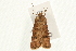  ( - UKLB35D09)  @14 [ ] CreativeCommons - Attribution (2009) Unspecified Centre for Biodiversity Genomics