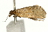  ( - UKLB42A04)  @12 [ ] CreativeCommons - Attribution (2009) Unspecified Centre for Biodiversity Genomics