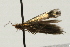  ( - UKLB42A06)  @12 [ ] CreativeCommons - Attribution (2009) Unspecified Centre for Biodiversity Genomics