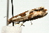  ( - UKLB42B07)  @12 [ ] CreativeCommons - Attribution (2009) Unspecified Centre for Biodiversity Genomics