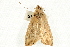  ( - UKLB42B10)  @12 [ ] CreativeCommons - Attribution (2009) Unspecified Centre for Biodiversity Genomics
