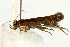  ( - UKLB42C03)  @12 [ ] CreativeCommons - Attribution (2009) Unspecified Centre for Biodiversity Genomics