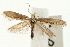  ( - UKLB42E05)  @15 [ ] CreativeCommons - Attribution (2009) Unspecified Centre for Biodiversity Genomics