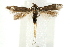  ( - UKLB42E11)  @11 [ ] CreativeCommons - Attribution (2009) Unspecified Centre for Biodiversity Genomics