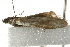  ( - UKLB42G01)  @12 [ ] CreativeCommons - Attribution (2009) Unspecified Centre for Biodiversity Genomics