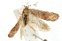  ( - UKLB42G11)  @12 [ ] CreativeCommons - Attribution (2009) Unspecified Centre for Biodiversity Genomics