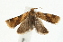  ( - UKLB42H03)  @12 [ ] CreativeCommons - Attribution (2009) Unspecified Centre for Biodiversity Genomics