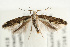  ( - UKLB39C11)  @13 [ ] CreativeCommons - Attribution (2010) Unspecified Centre for Biodiversity Genomics