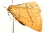  ( - UKLB42B12)  @12 [ ] CreativeCommons - Attribution (2010) Unspecified Centre for Biodiversity Genomics