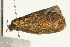  ( - UKLB42C02)  @12 [ ] CreativeCommons - Attribution (2010) Unspecified Centre for Biodiversity Genomics