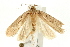  ( - UKLB42E01)  @14 [ ] CreativeCommons - Attribution (2010) Unspecified Centre for Biodiversity Genomics