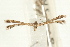  ( - UKLB43B05)  @12 [ ] CreativeCommons - Attribution (2010) Unspecified Centre for Biodiversity Genomics