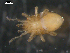  ( - 08DPMIT-0549)  @12 [ ] CreativeCommons - Attribution (2010) Unspecified Centre for Biodiversity Genomics