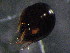  ( - 08DPMIT-0198)  @12 [ ] CreativeCommons - Attribution (2010) Unspecified Centre for Biodiversity Genomics