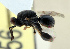  ( - CHACP-UFES-BC456)  @11 [ ] Unspecified (default): All Rights Reserved  Unspecified Unspecified