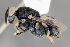  ( - CHACP-UFES-MVB010)  @11 [ ] Unspecified (default): All Rights Reserved  Unspecified Unspecified