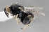  ( - CHACP-UFES-MVB011)  @11 [ ] Unspecified (default): All Rights Reserved  Unspecified Unspecified