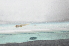  ( - CHA23_012)  @11 [ ] Unspecified (default): All Rights Reserved  Unspecified Unspecified