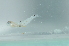  ( - CHA23_107)  @11 [ ] Unspecified (default): All Rights Reserved  Unspecified Unspecified