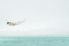 ( - CHA23_219)  @11 [ ] Unspecified (default): All Rights Reserved  Unspecified Unspecified