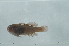  (Gobiodon albolineatus - CHA23_492)  @11 [ ] Unspecified (default): All Rights Reserved  Unspecified Unspecified