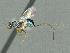  ( - CNCHyCh 0037)  @11 [ ] Unspecified (default): All Rights Reserved  Unspecified Unspecified