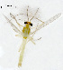  ( - CH216)  @12 [ ] CreativeCommons - Attribution Non-Commercial Share-Alike (2016) College of Life Sciences, Nankai University College of Life Sciences, Nankai University