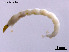  ( - CHLA513)  @11 [ ] CreativeCommons-Attribution Non-Commercial Share-Alike (2020) Xiaolong Lin Nankai University, College of Life Sciences