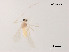  ( - XL1040)  @11 [ ] CreativeCommons - Attribution Non-Commercial Share-Alike (2019) Xiaolong Lin College of Life Sciences, Nankai University