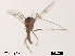  ( - XL1045)  @11 [ ] CreativeCommons - Attribution Non-Commercial Share-Alike (2019) Xiaolong Lin College of Life Sciences, Nankai University